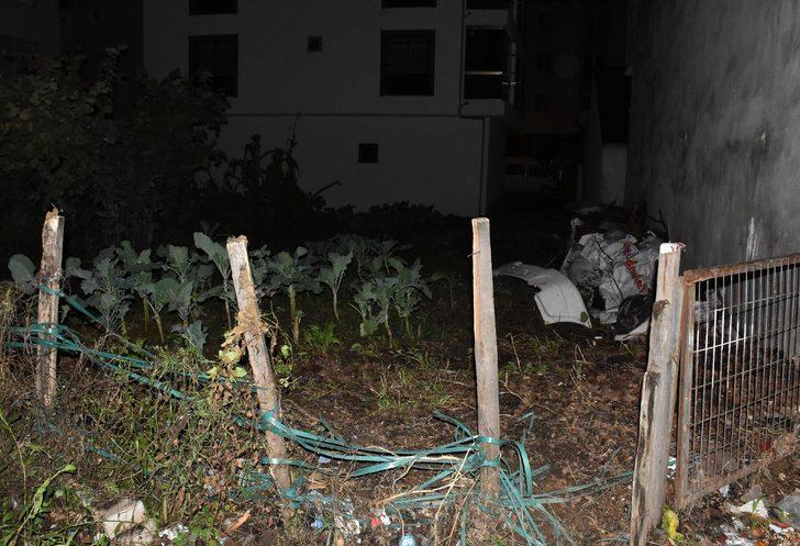 Ordu'da tarlada toprağa gömülü bebek cesedi bulundu G1