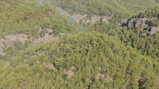 GÜNCELLEME - Muğla'da çıkan orman yangını söndürüldü