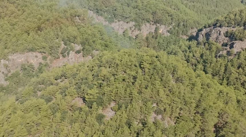 GÜNCELLEME - Muğla'da çıkan orman yangını söndürüldü