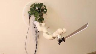 Yeşil yapraklı terminatör! Pala sallayan bu bitki akıllara durgunluk verdi