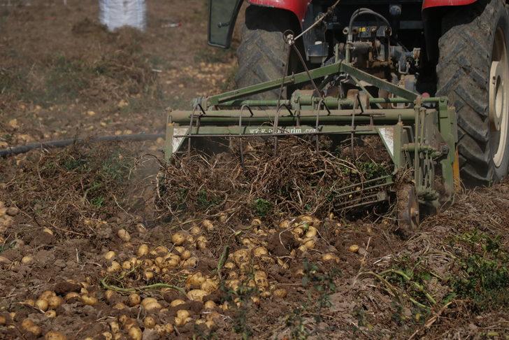 Niğde'de kışlık patates hasadı başladı G5