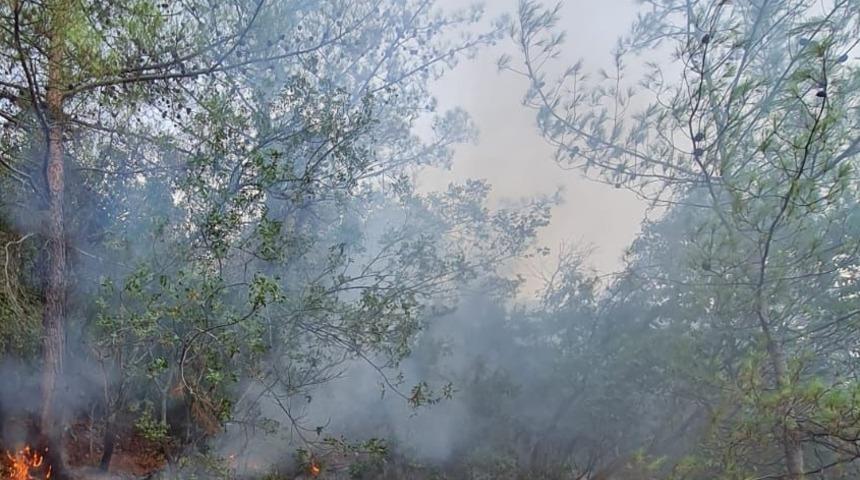 Muğla'da yıldırım kaynaklı orman yangını söndürüldü