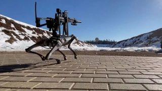 Robot üreticilerinden 'yüreklere su serpen' söz! Akıllara ise o görüntüler geldi