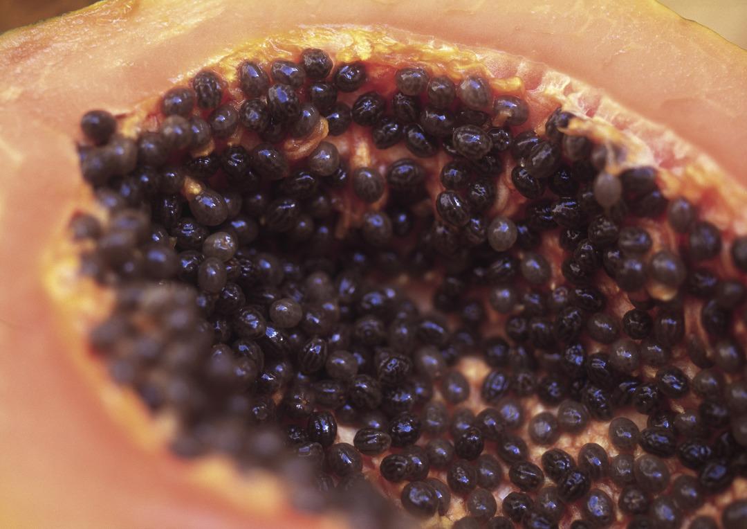 Tam bir baş belası ama kurtulmak m&uuml;mk&uuml;n: Refl&uuml;ye başladığı gibi bitirir, rahat bir nefes aldırır