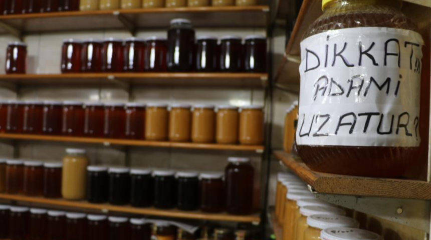 Daha çok Karadeniz Bölgesi'nde bulunuyor! Cinsel gücü artırıyor ama zehirlenmelere dikkat