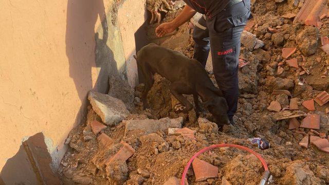 Erzincan'da bodrumda mahsur kalan köpeği itfaiye kurtardı