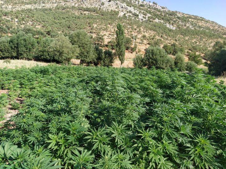 Diyarbakır'daki narkoterör operasyonlarında 520 kilogram toz ve kubar esrar ele geçirildi G4