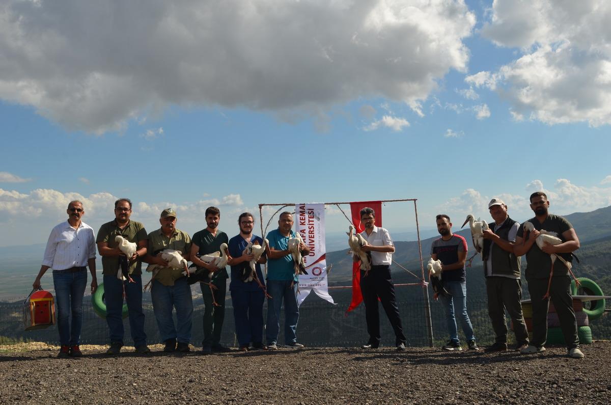 Hatay'da tedavileri tamamlanan kuşlar doğaya salındı