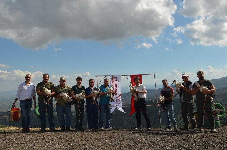 Hatay'da tedavileri tamamlanan kuşlar doğaya salındı G1