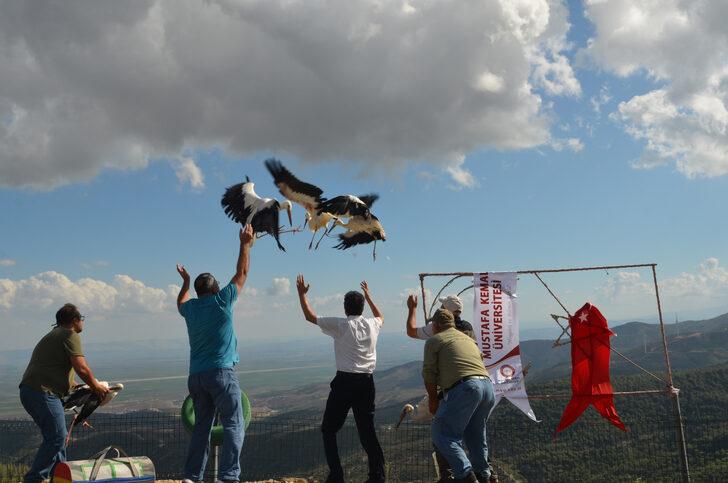 Hatay'da tedavileri tamamlanan kuşlar doğaya salındı G2