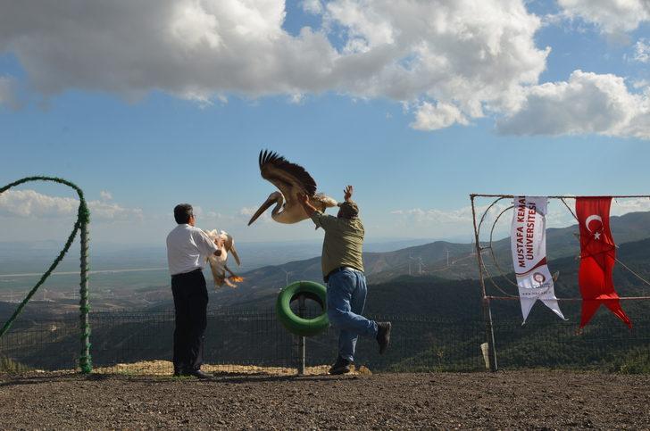 Hatay'da tedavileri tamamlanan kuşlar doğaya salındı G3