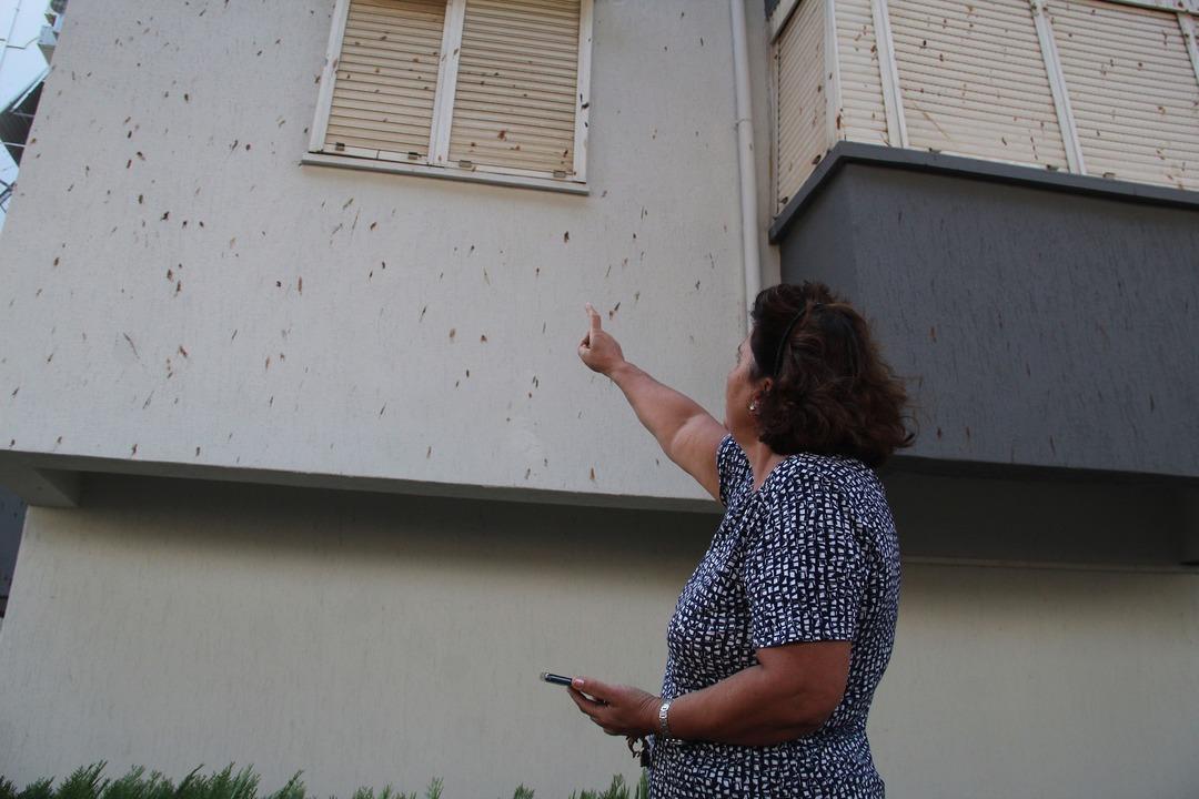 Yer: Antalya! Yarasa dışkısından ne kapı ne pencere a&ccedil;abiliyorlar: Her ge&ccedil;en g&uuml;n artıyor, &ccedil;ocuklar korkuyor