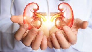 Böbrek kanserlerinin yüzde 50’sinden sorumlu üçlü : Sigara, hipertansiyon, obezite!