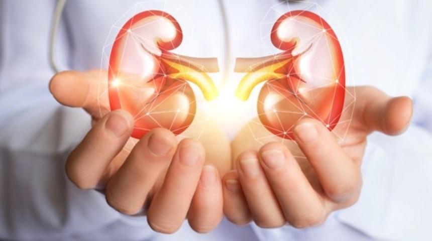 Böbrek kanserlerinin yüzde 50’sinden sorumlu üçlü : Sigara, hipertansiyon, obezite!