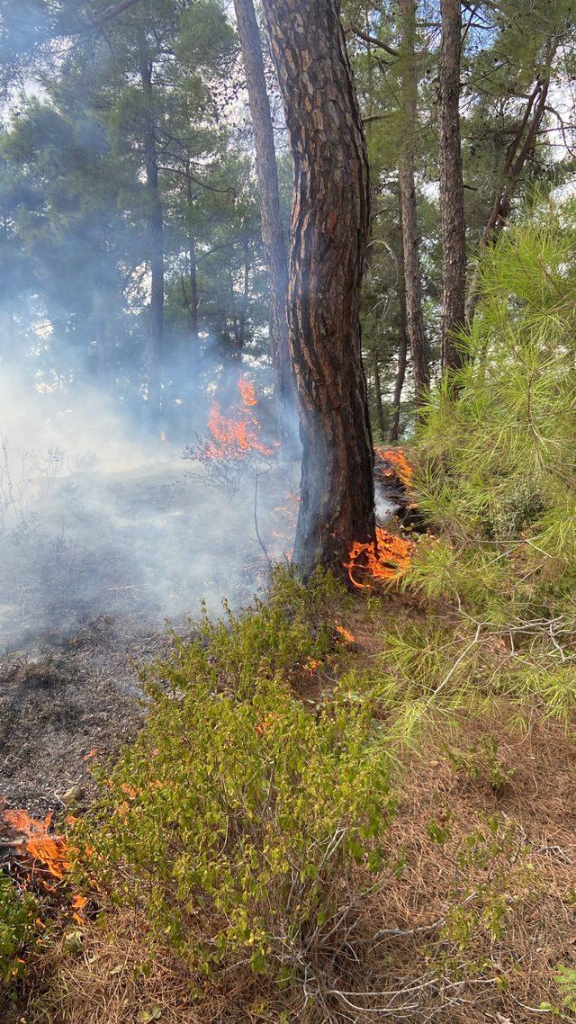 Hatay'da Suriye sınırında çıkan orman yangını kontrol altına alındı
