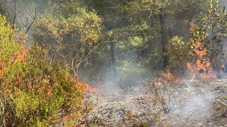 Hatay'da Suriye sınırında çıkan orman yangını kontrol altına alındı