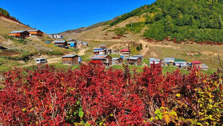 Artvin Macahel sonbahar renklerine bürünmeye başladı G4