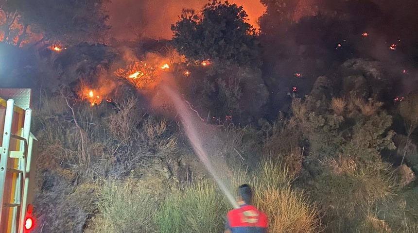 Bodrum'da makilik ve ağaçlık alanda çıkan yangın söndürüldü
