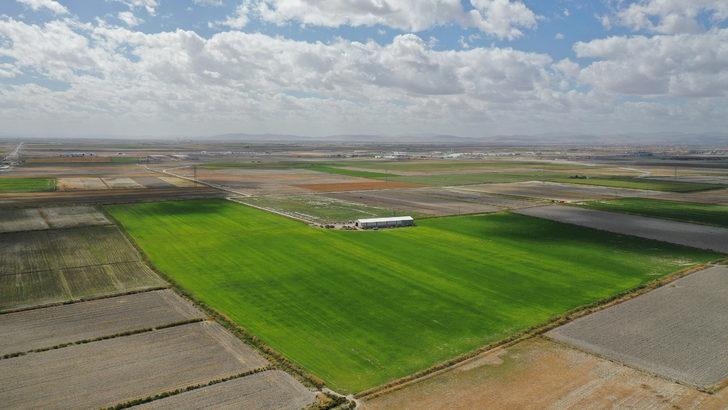 Konya'da arıtma çamuru organik gübre oluyor G1