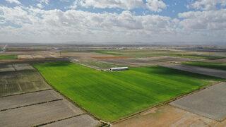 Konya'da arıtma çamuru organik gübre oluyor