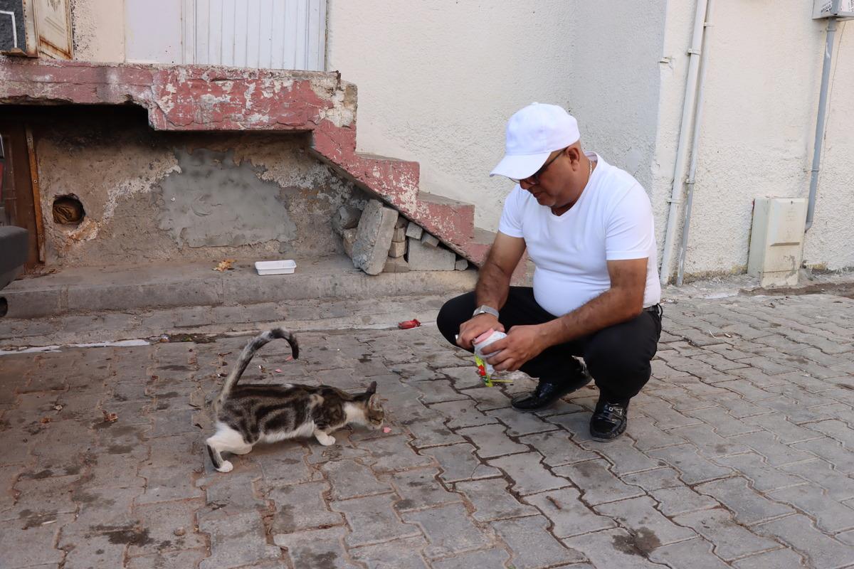 Mardin'de başı damacanaya sıkışan yavru kedi kurtarıldı