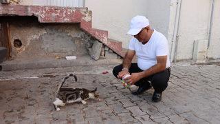 Mardin'de başı damacanaya sıkışan yavru kedi kurtarıldı