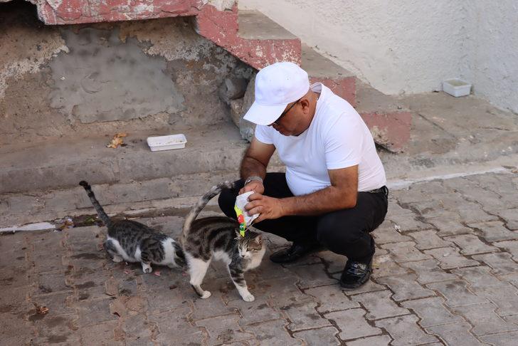 Mardin'de başı damacanaya sıkışan yavru kedi kurtarıldı G2