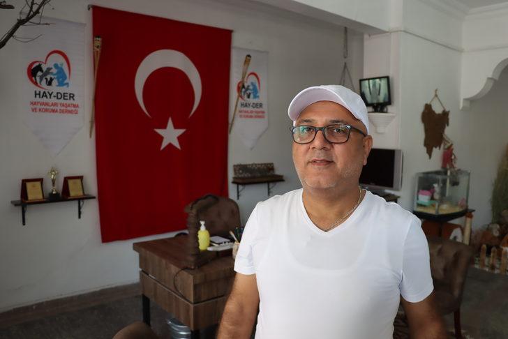 Mardin'de başı damacanaya sıkışan yavru kedi kurtarıldı G3