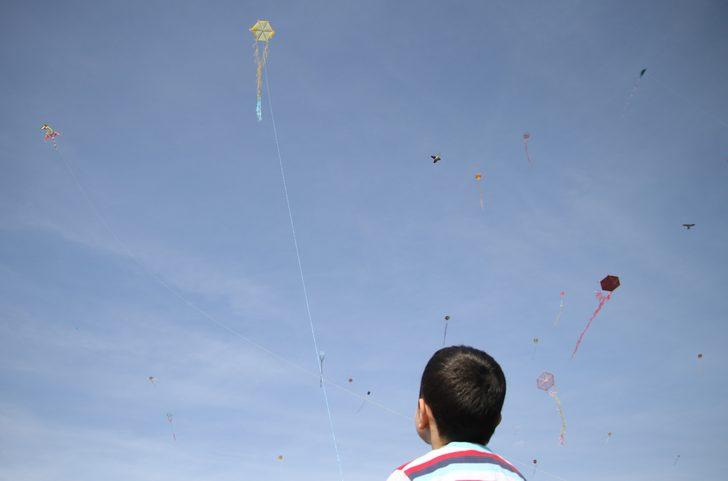Tekirdağ'da Uçurtma  Şenliği düzenlendi G3