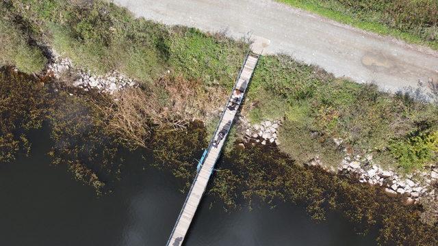 Son güneşli havaları fırsat bilip göletler diyarına akın ettiler