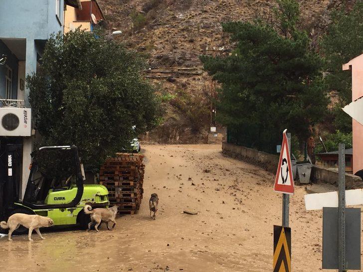 Artvin'de sağanak etkili oldu G4