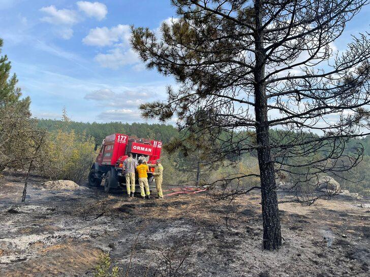 Kırklareli'nde çıkan orman yangını söndürüldü G3