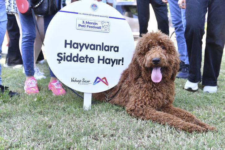 Mersin'de hayvanseverler, "can dost"larını Pati Festivali'nde buluşturdu G3