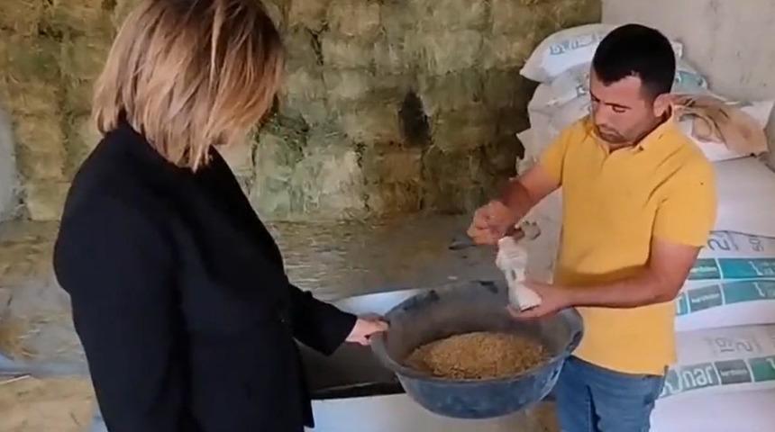 Atların nasıl beslendiği sorulunca deşifre oldu! Suriyelilerle ilgili gerçek ortaya çıktı: Bedavaya verilen bebek mamalarını sattıklarını söyledi