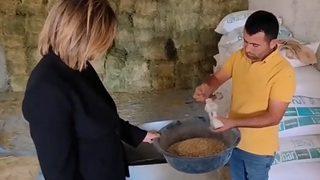 Atların nasıl beslendiği sorulunca deşifre oldu! Suriyelilerle ilgili gerçek ortaya çıktı: Bedavaya verilen bebek mamalarını sattıklarını söyledi