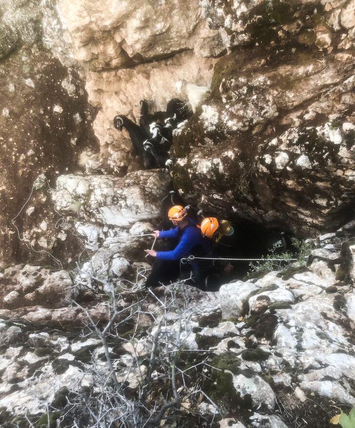 Konya'da dik kayalıklarda mahsur kalan keçileri AFAD'ın özel dağcı ekibi kurtardı G1