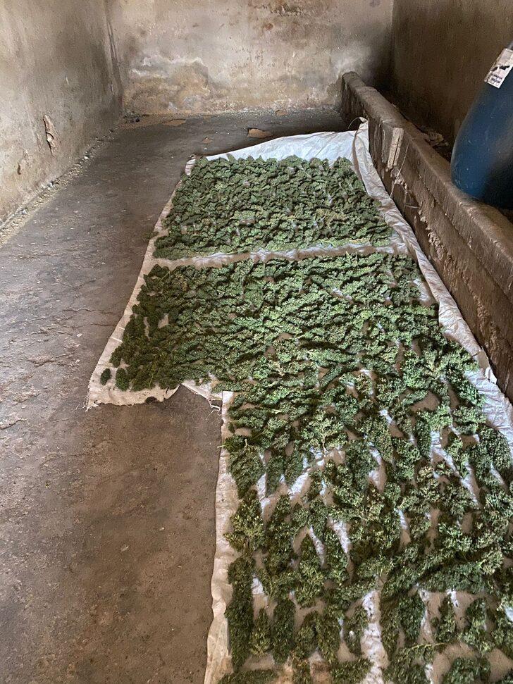 Adana'da "Kökünü Kurutma Operasyonu"nda yakalanan 132 şüpheli tutuklandı G3