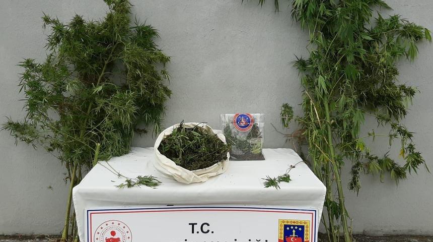 Artvin'de uyuşturucu operasyonunda 2 kişi gözaltına alındı