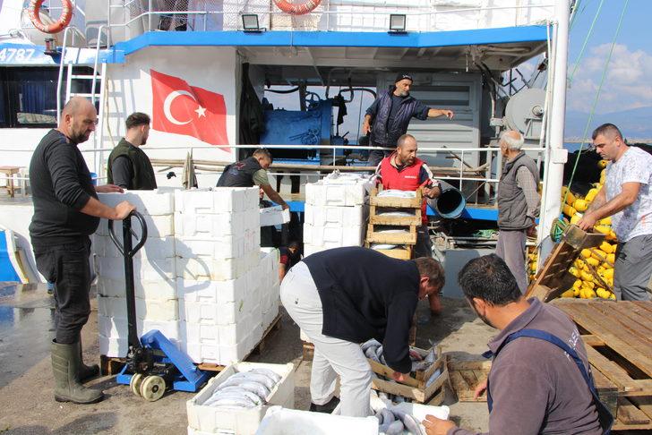 Bandırma Körfezi'nde palamut bolluğu sürüyor G2