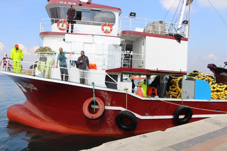 Bandırma Körfezi'nde palamut bolluğu sürüyor G4