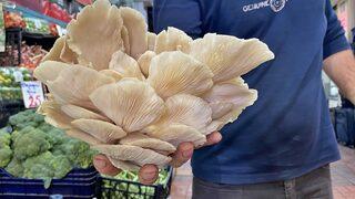 Kırmızı et 200 lira olunca vatandaş ona yöneldi! Besin değerleri neredeyse aynı