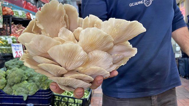 Kırmızı et 200 lira olunca vatandaş ona yöneldi! Besin değerleri neredeyse aynı