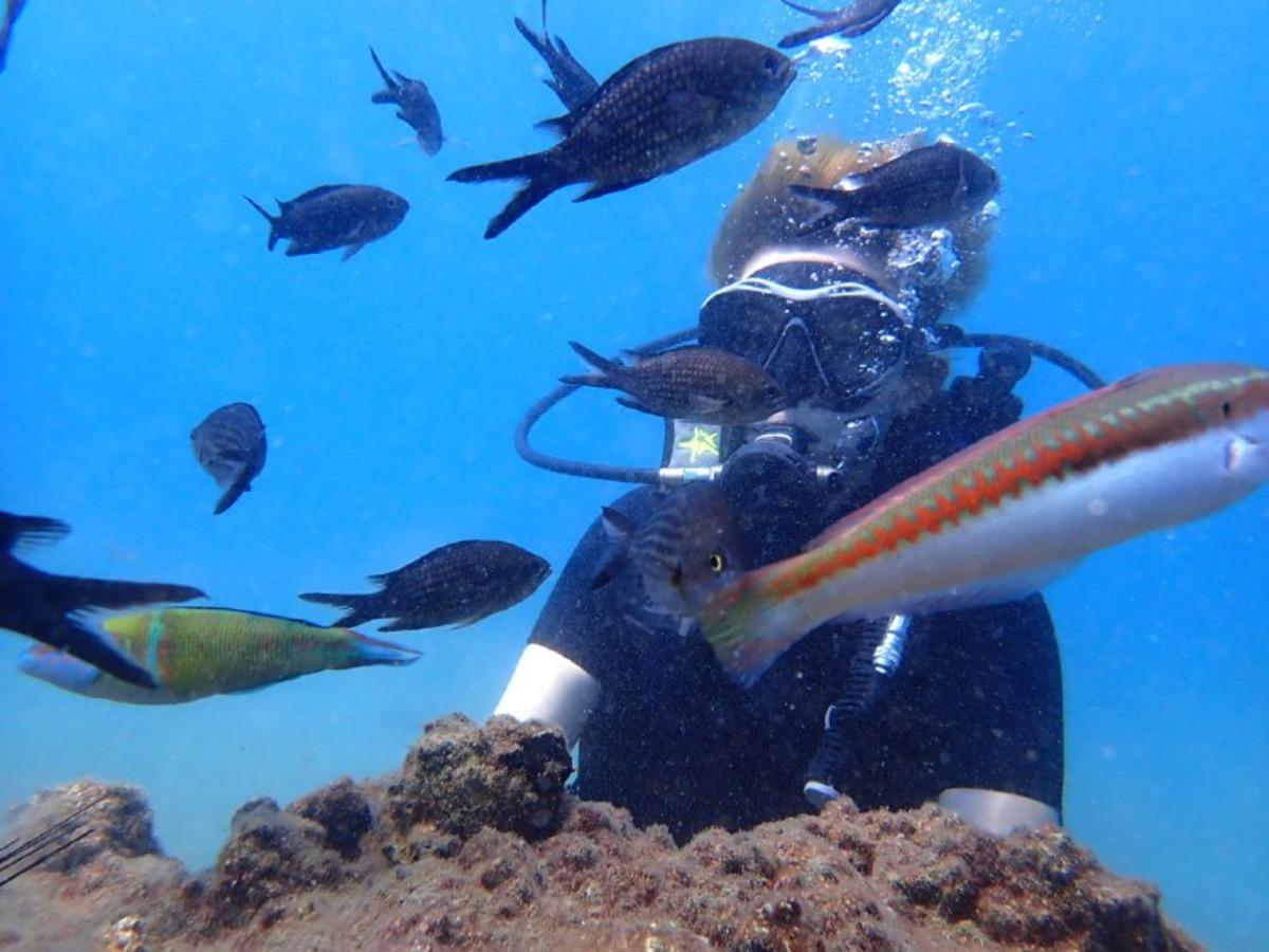 Mersin'de lesepsiyen balık t&uuml;rlerinin incelenmesi i&ccedil;in keşif dalışı yapıldı