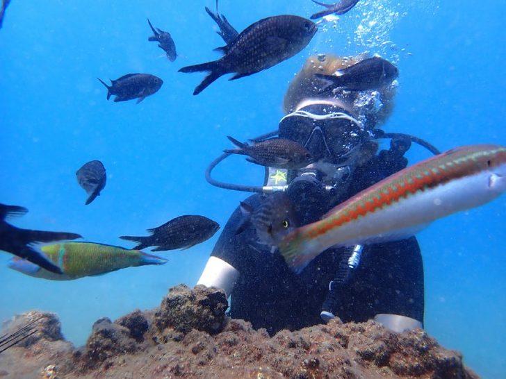 Mersin'de lesepsiyen balık türlerinin incelenmesi için keşif dalışı yapıldı G1