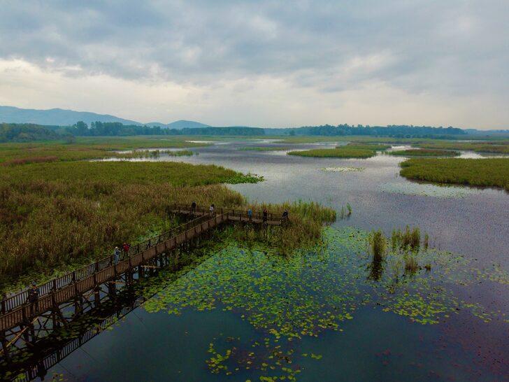 Düzce'nin doğal güzellikleri sonbaharın renklerine büründü G1