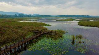 Düzce'nin doğal güzellikleri sonbaharın renklerine büründü