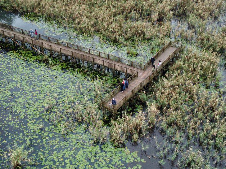 Düzce'nin doğal güzellikleri sonbaharın renklerine büründü G2