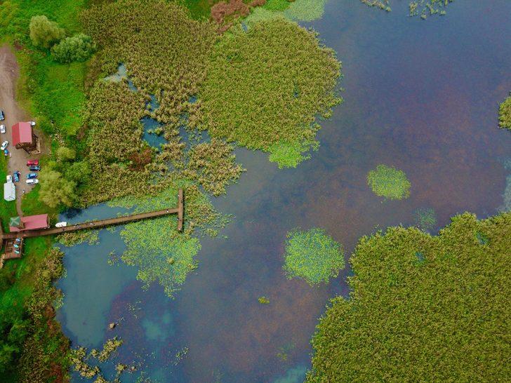 Düzce'nin doğal güzellikleri sonbaharın renklerine büründü G3
