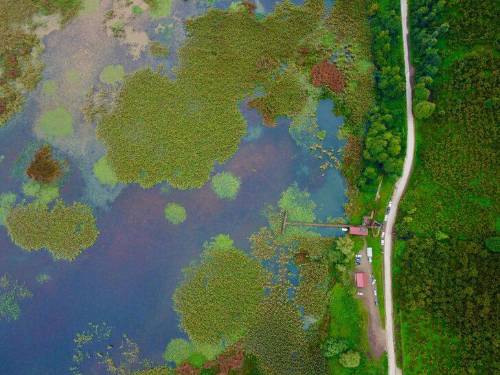 Düzce'nin doğal güzellikleri sonbaharın renklerine büründü G4