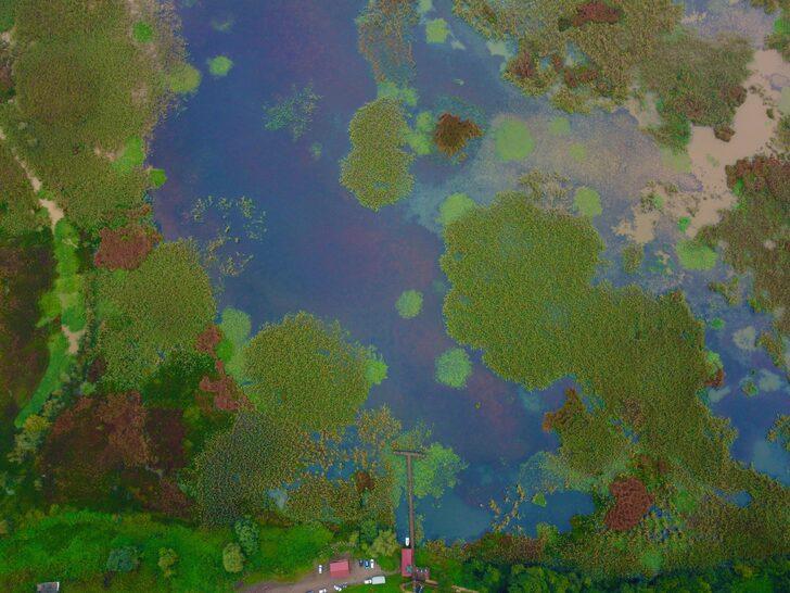 Düzce'nin doğal güzellikleri sonbaharın renklerine büründü G5